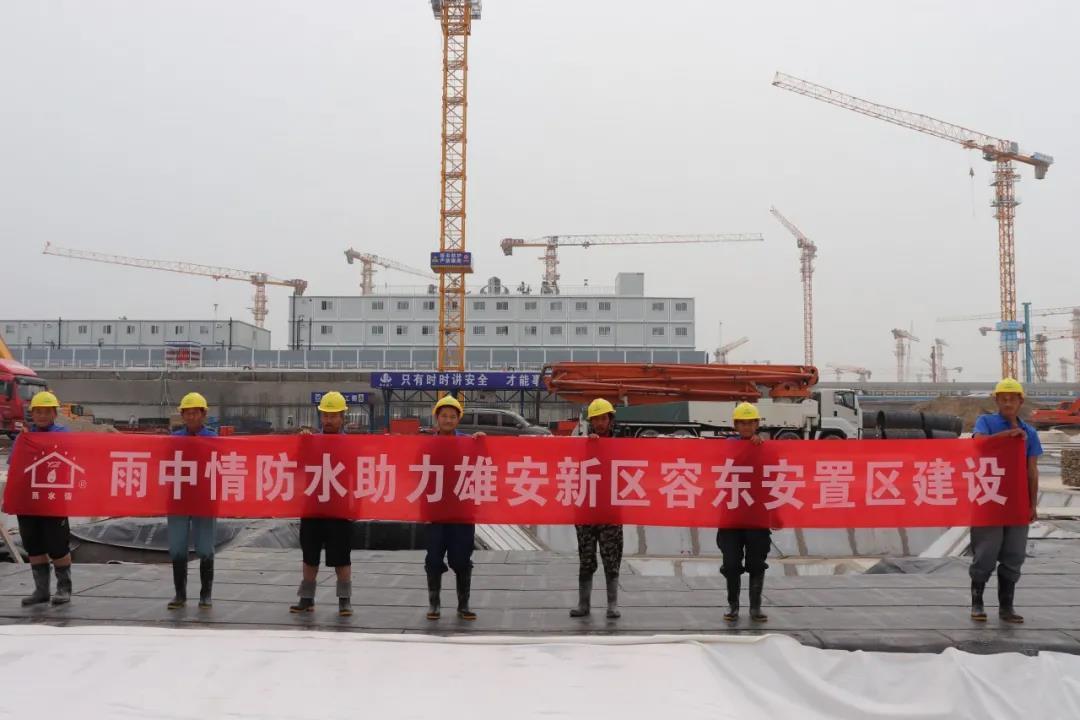 助力雄安新区建设，雨中情集团持续发力