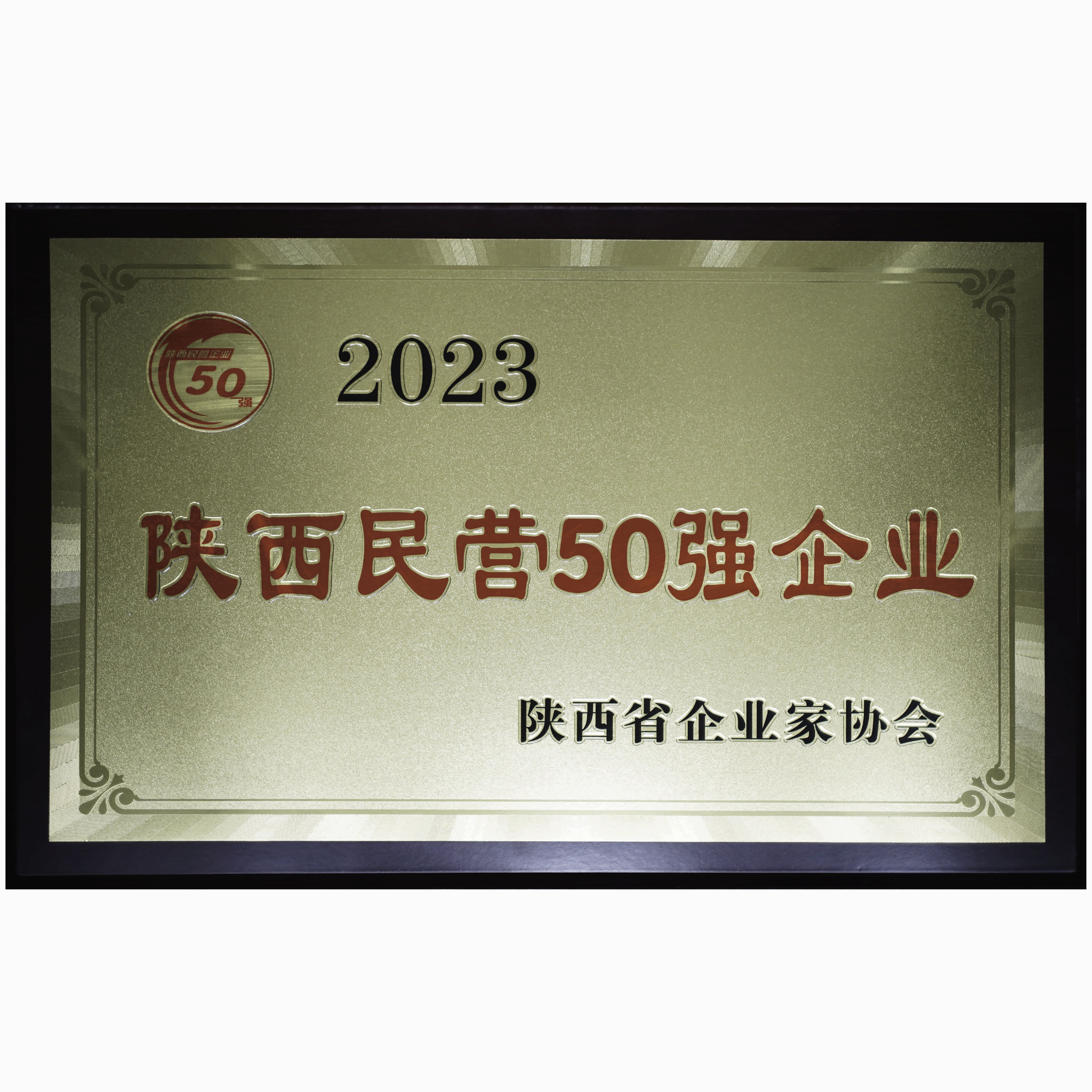 陕西民营50强企业